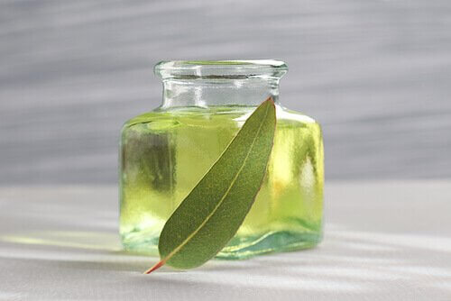 Mentha pulegium for snoring