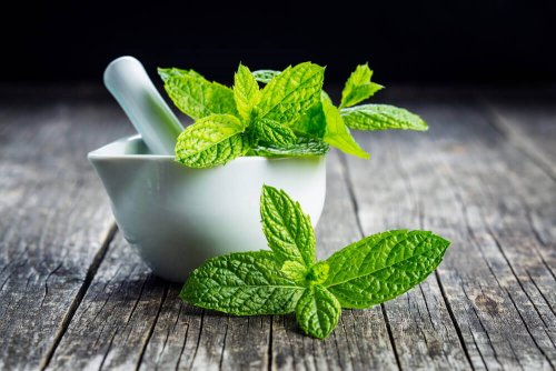 Health properties of mint tea: Mint leaves and a mortar.