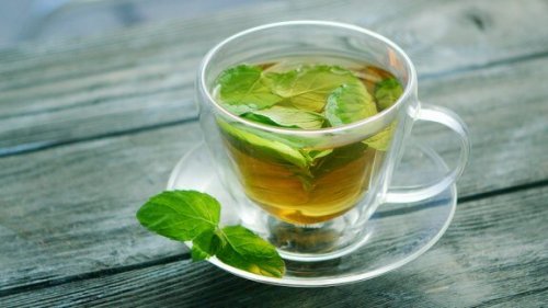 Discover the Health Properties of Mint Tea