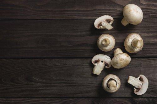 Fungi are on a table.