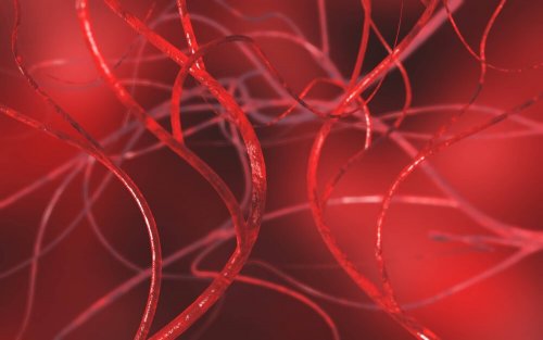 How to Unclog Your Arteries with Four Natural Remedies