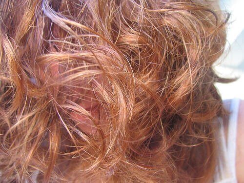 Damaged Hair Five Natural Remedies To Repair It Step To Health