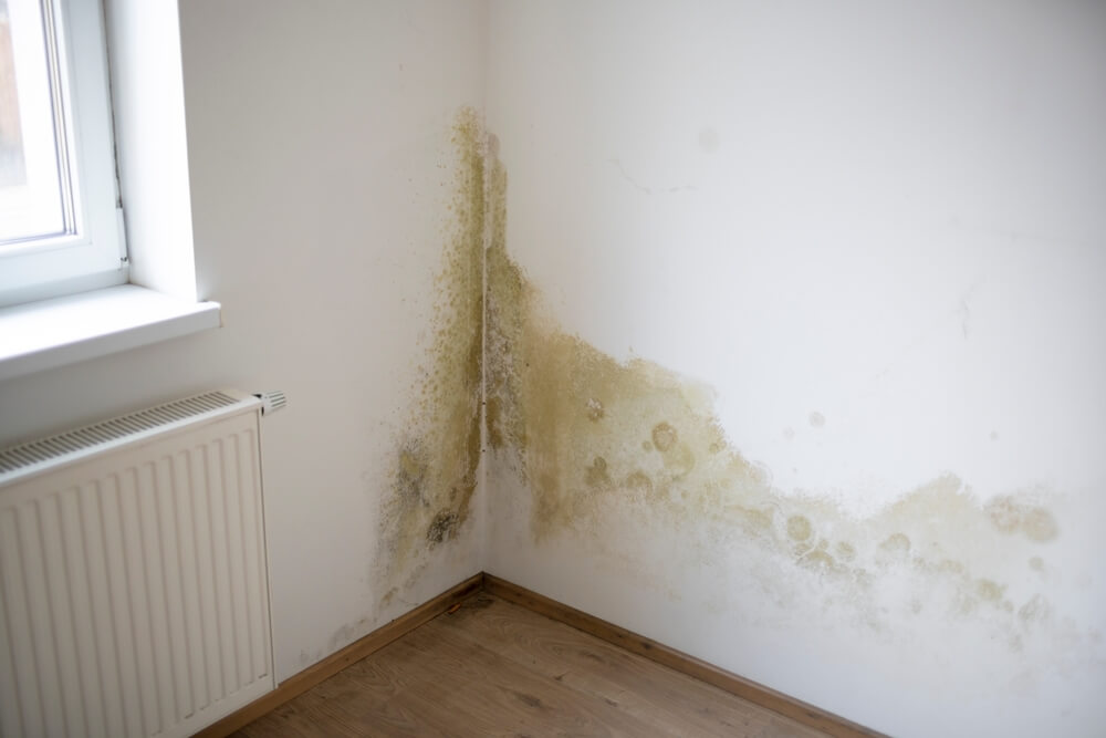 How to Detect Excessive Moisture in Your Home - Step To Health
