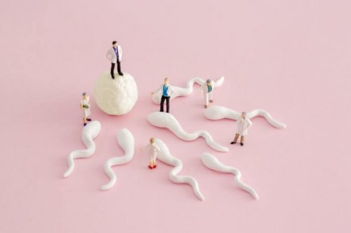 calculate your fertile days