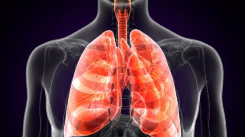 What Is Pulmonary Plague?