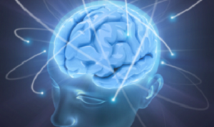 Four Things You Can Do to Strengthen Your Brain