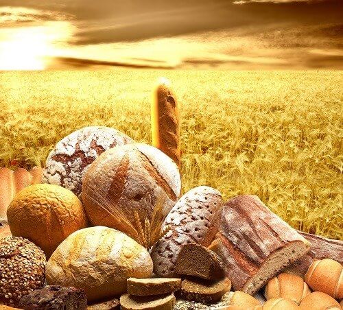 How do Grains Benefit Your Body?
