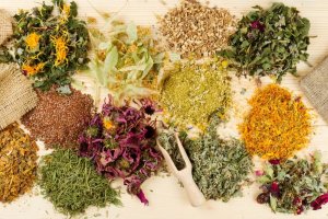 Medicinal Herbs that Help Relieve Stomach Pain