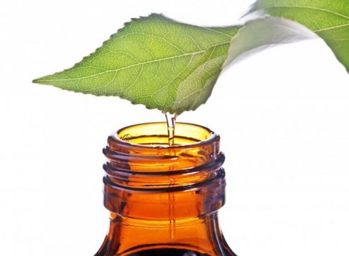 Mint essential oil can relieve pain.