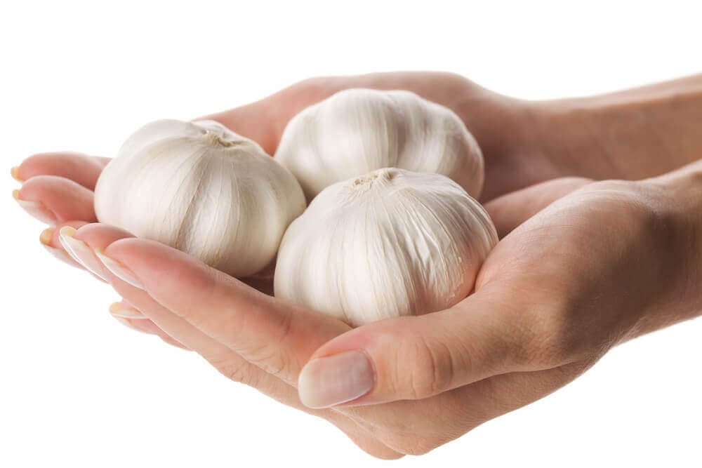 A person holding heads of garlic.