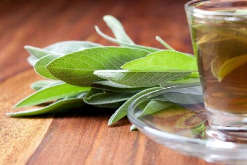 sage leaves drink