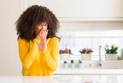 Learn How to Make Four Natural Air Fresheners for Your Kitchen