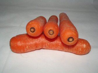 What Are the Benefits of Carrots?