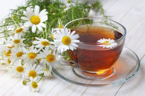 chamomile