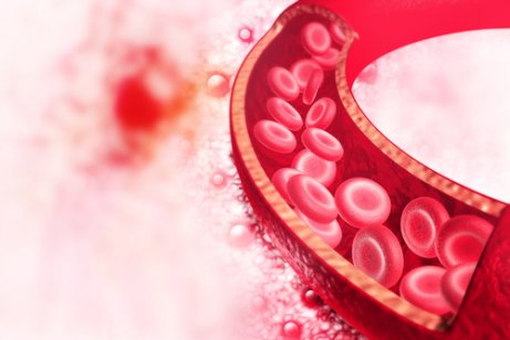 Healthy arteries.