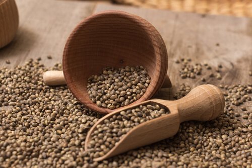 hemp-seeds