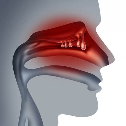 nasal mucosa