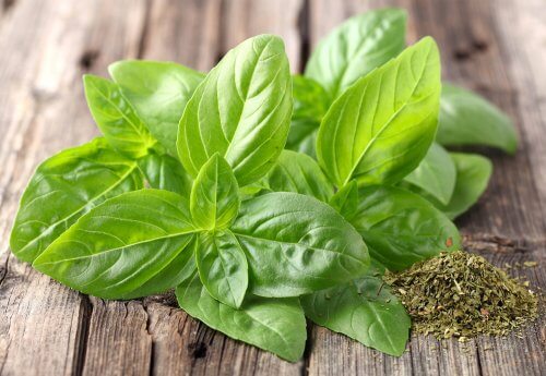 Fresh cut basil remedies for nervousness