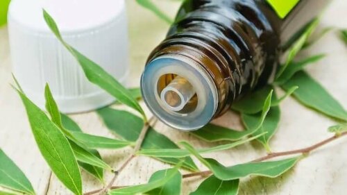 Tea tree olie