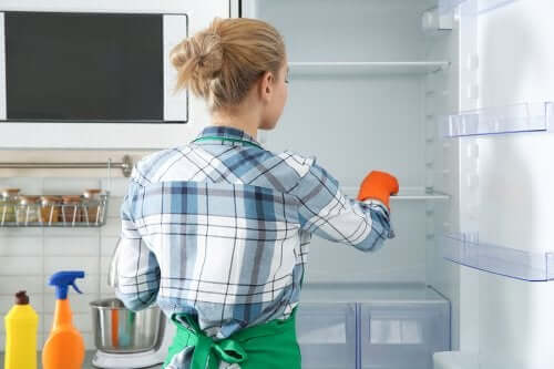 Eco Friendly Methods to Clean and Disinfect the Fridge