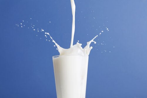 Whole Milk vs Low-Fat Milk: Which One is Better?