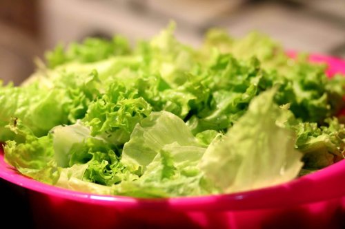 A bowl full of iceberg lettuce.