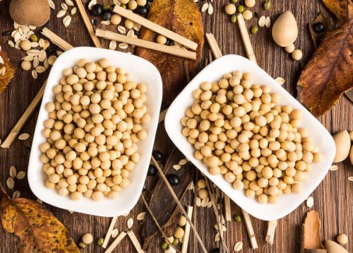 A couple bowls of soybeans.