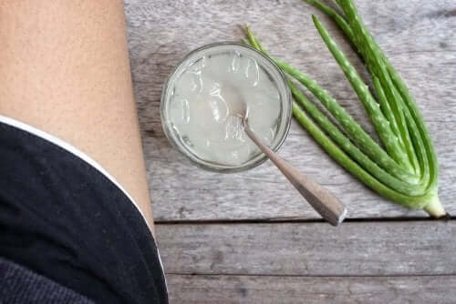 A person sitting next to aloe vera.