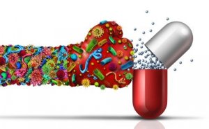 What are Antimicrobials?