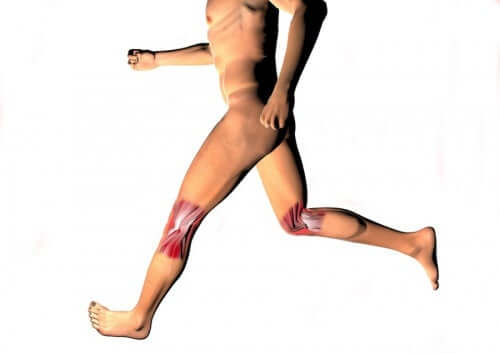 Knee joint.