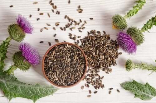 One of the most popular remedies for the liver and gallbladder is milk thistle .