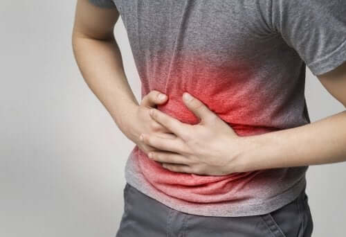 Medicinal plants to soothe indigestion.
