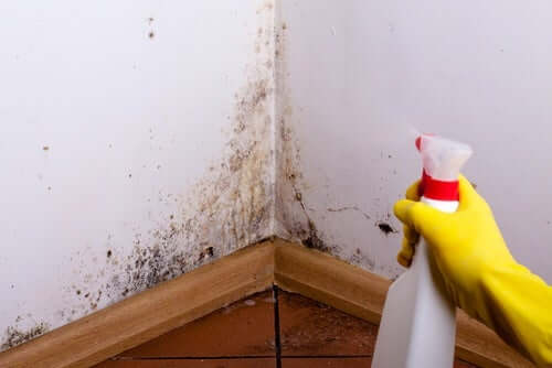 A person removing mold from walls.