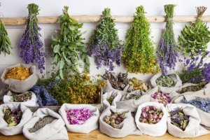 What Are the Benefits of Phytotherapy?