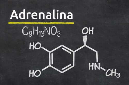 Chemical structure of adrenaline or epinephrine
