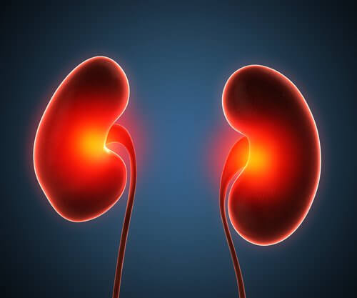 Treatments for Renal Abscesses