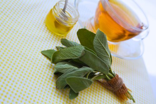 Sage and Honey to Treat Cuts and Scrapes