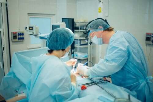 Surgeons performing abdominal surgery.
