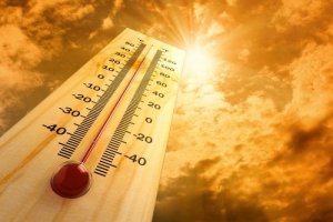 Discover Six Effects of Heat on the Body