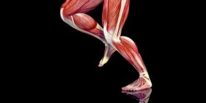 Treatment of Soft Tissue Injuries
