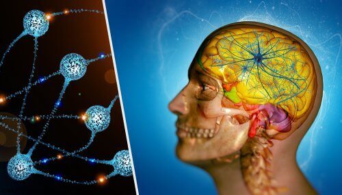 En dubbel illustration av ett huvud och neuroner.