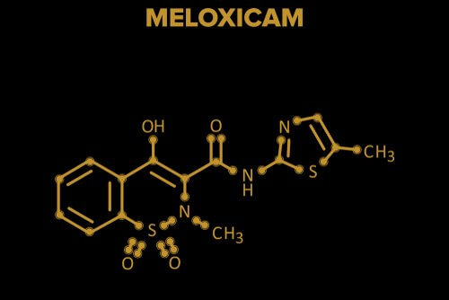 Meloxicam - Everything You Need to Know