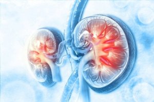 Seguril - Uses, Contraindications and Side Effects