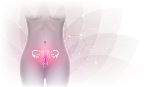 What is Primary Ovarian Insufficiency (POI)?