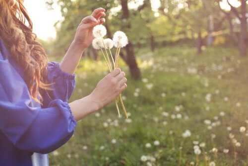 The Causes of Allergic Reactions and Allergy Symptoms
