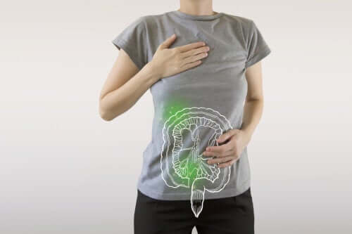 How to Maintain Your Digestive Health