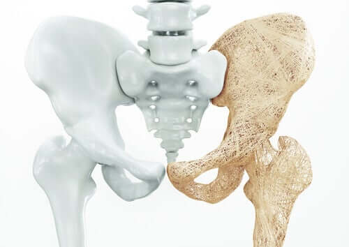 The male pelvic floor is the lower part of the pelvis.