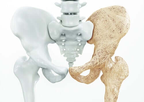 The male pelvic floor is the lower part of the pelvis.