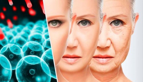 The aging process.