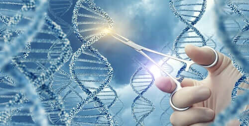 What are Gene Mutations?